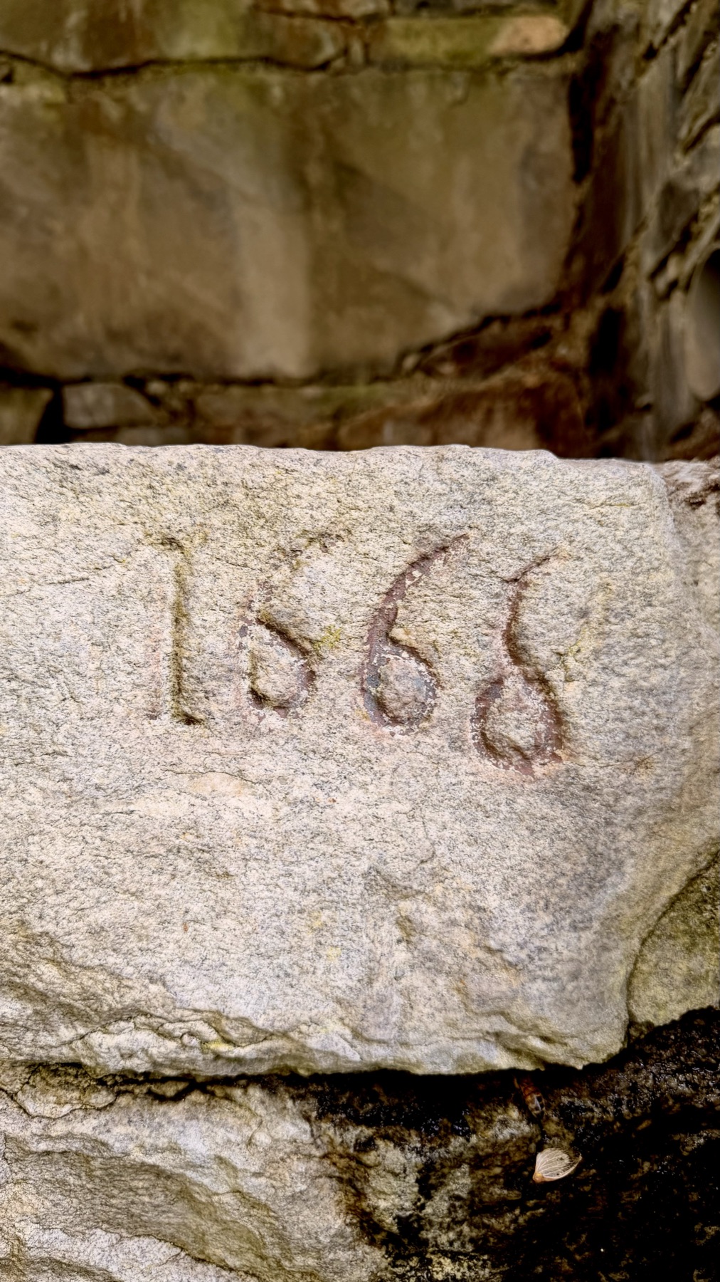 1668 carving, macro